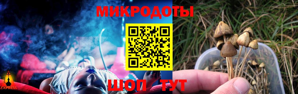 Ачхой-Мартан  Галлюциногенные грибы ЛСД  Вход с VPN 